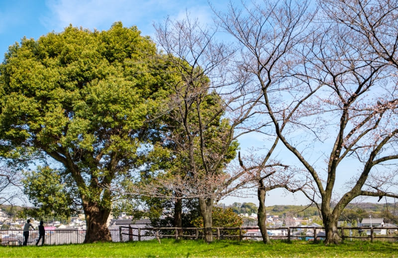 大高城址公園（約1,000m・徒歩13分）